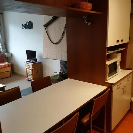 Apartment Confortable A 20m Des Remontees Mecaniques, 3 Personnes *